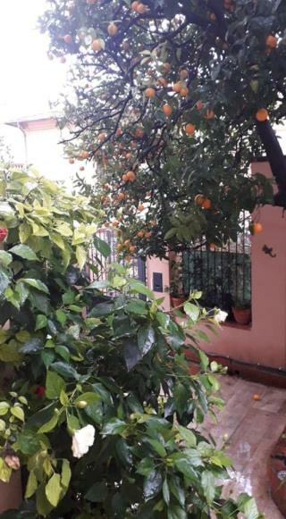 Appartamento Les Violettes Mentone Esterno foto